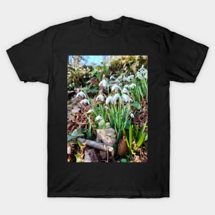 Spring snowdrops T-Shirt